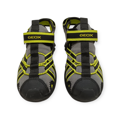 Geox Sandalia Cerrada Gris/Lima